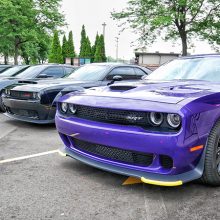 lined up Dodge SRT Challengers