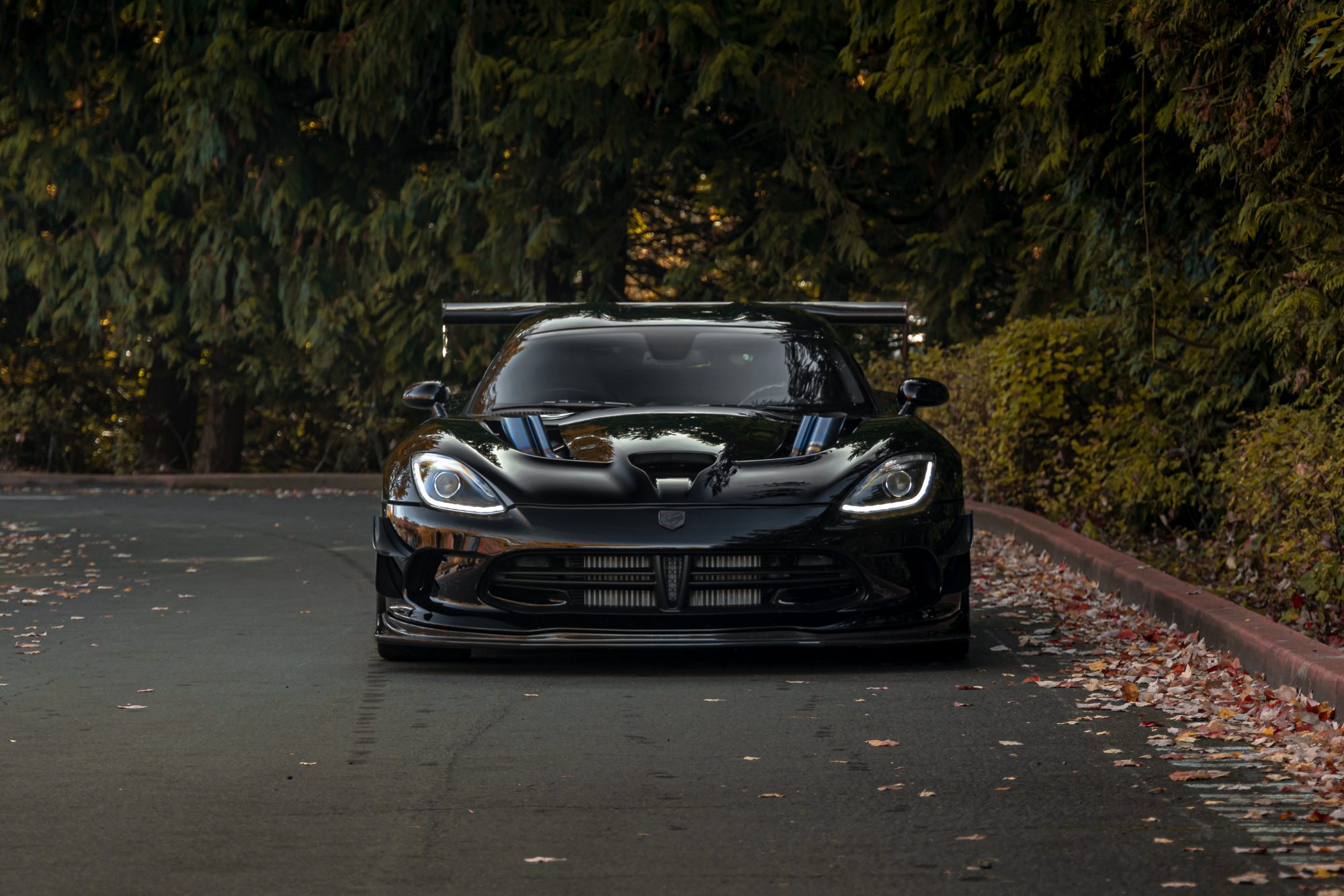 2013 Dodge Viper