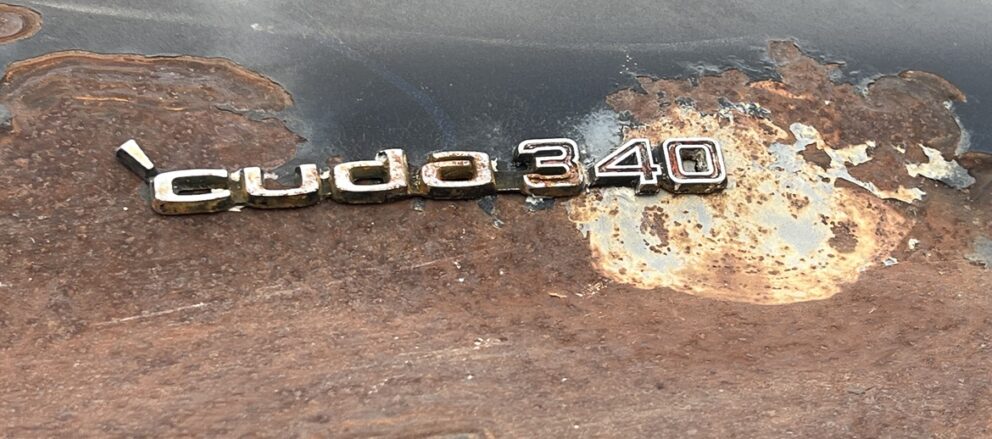 RustNeverSleeps_Feature-