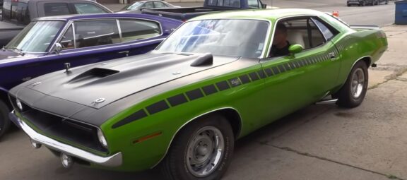 Vintage Muscle in Bold Sassy Grass
