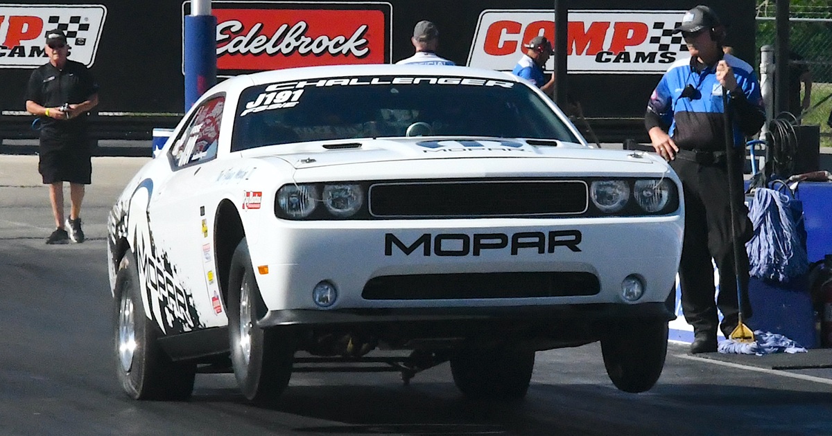 【⑧様】レッサーパンダ＆コツメカワウソ＆コウベモグラ＆アメリカビーバー 着ぐるみ ⑧様】レッサーパンダ＆コツメカワウソ＆コウベモグラ＆アメリカ