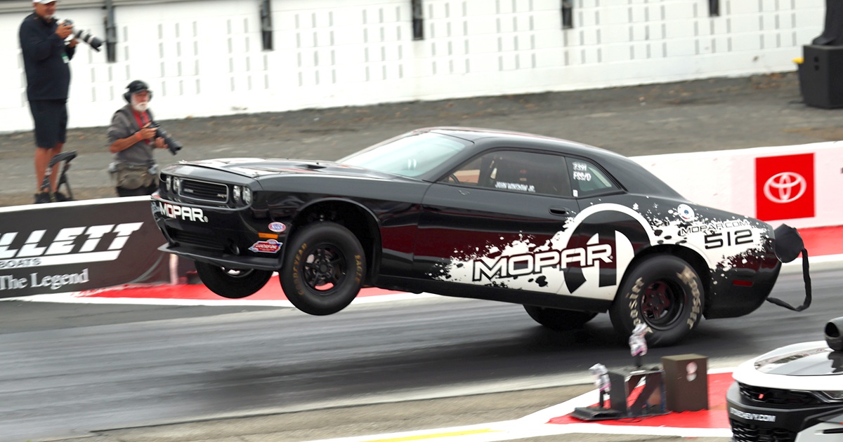 のぶまる　現物ホワイトゴースト ６号＆チランジア・ヒューストン＆カレックス のぶまる様専用 現物ホワイトゴースト 6号＆チランジア・ヒューストン