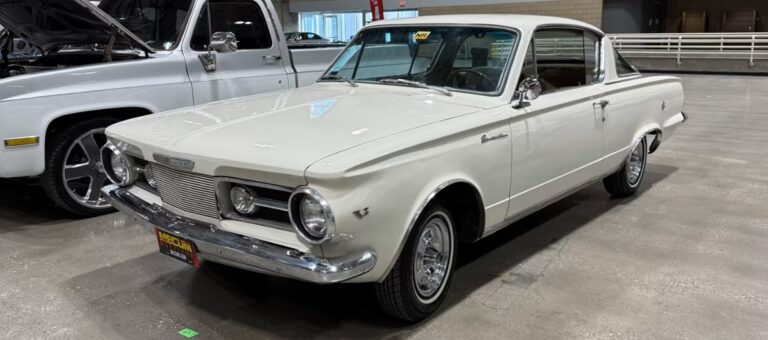 From Underdog to Icon: The Early Barracuda’s Long-Overdue Spotlight image