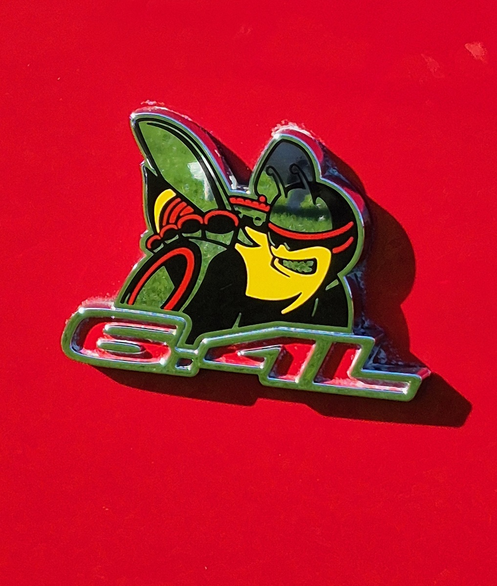 A colorful car badge featuring a cartoon bee with a helmet and tire, above the text 6.4L, set against a bright red background.